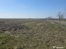 Teren Intravilan 5000mp deschidere 409 ml utilitati