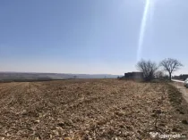 Teren 6500mp, 40ml deschidere la E85, Granicesti, Suceava