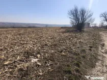 Teren 6500mp, 40ml deschidere la E85, Granicesti, Suceava