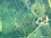 TEREN EXTRAVILAN | 1730 MP | UILEACUL DE CRIS | BIHOR 
