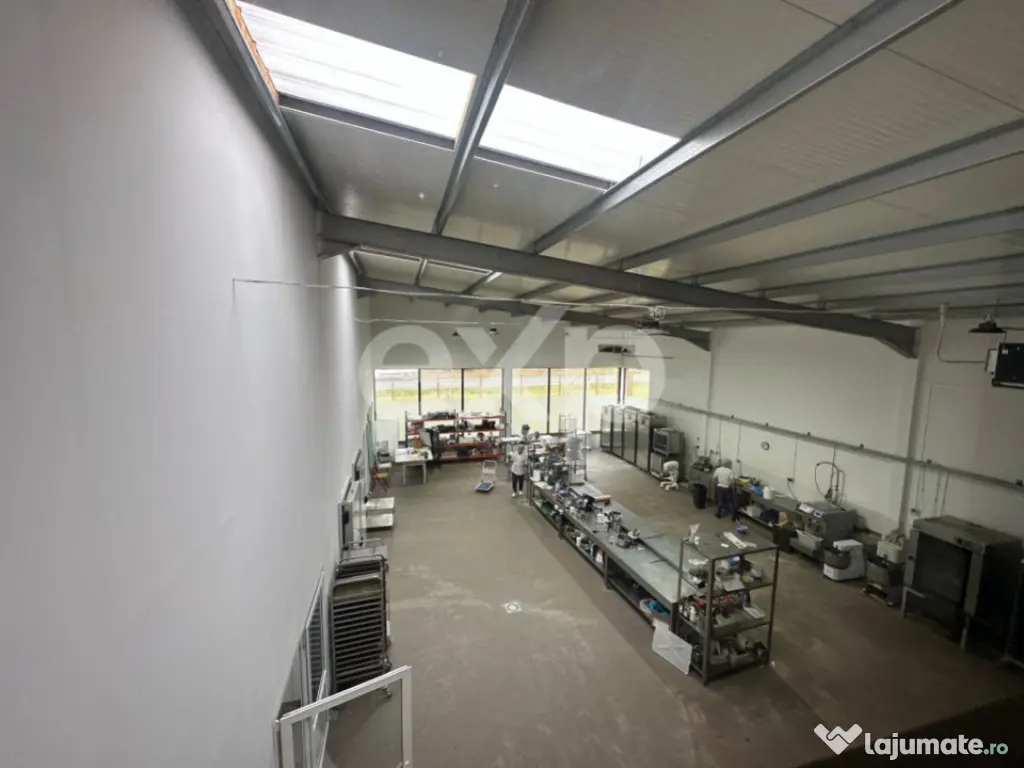 Hala Productie Premium | Teren 4.700mp