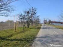 Teren intravilan, 5600 mp in Mircea Voda - Dambovita.