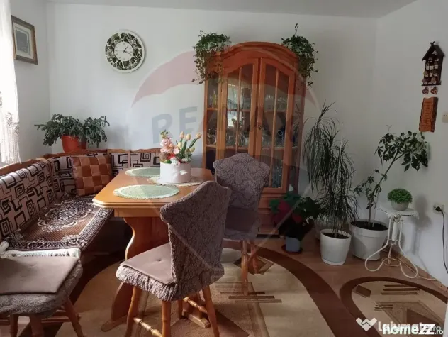 Case cu 7 camere de vânzare în comuna Panaci, sat Drăg...