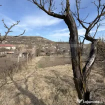 Casa si teren in Ocnita