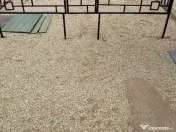 Gardulet loc de veci 