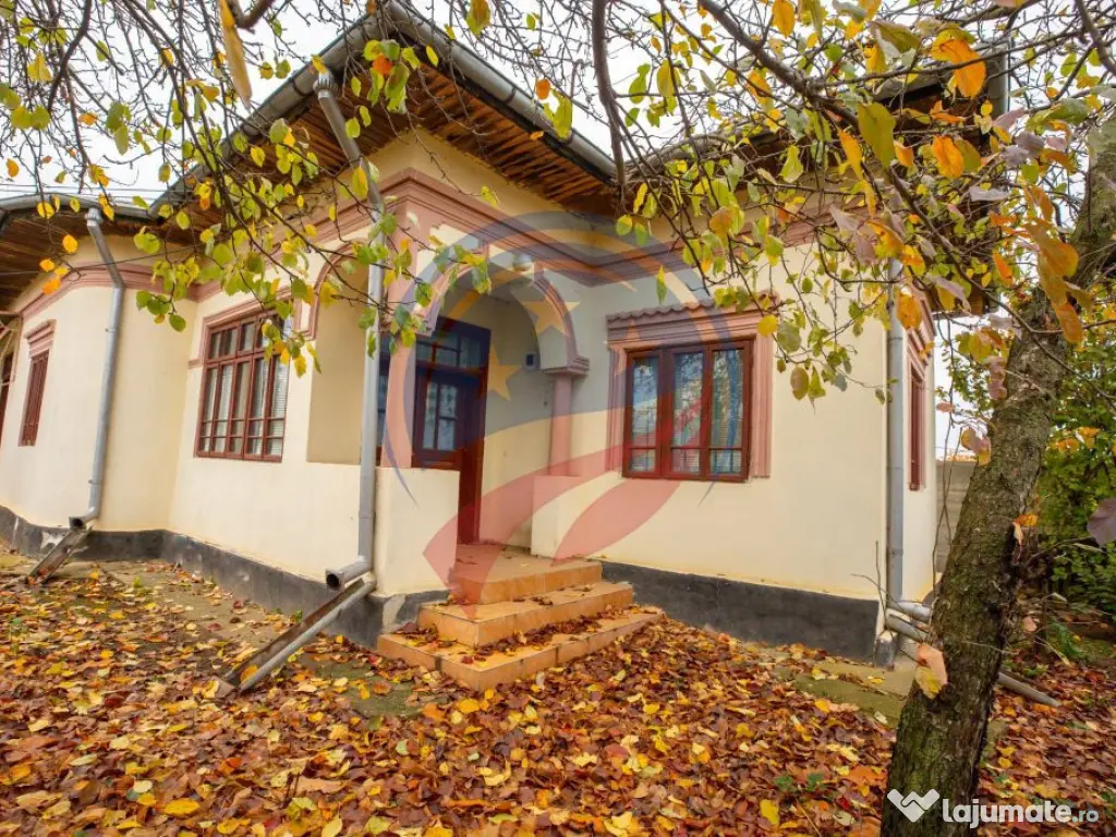 Casa de vanzare in com Leu, Dolj