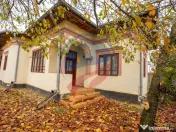 Casa de vanzare in com Leu, Dolj 