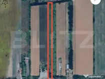 Teren Intravilan de Vânzare – 11.500 mp – DN E81 Între