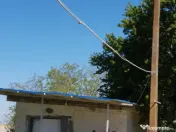 AFACERE LA CHEIE FERMA DE PORCI 