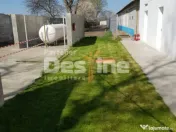 AFACERE LA CHEIE FERMA DE PORCI 