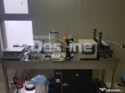 AFACERE LA CHEIE FERMA DE PORCI 