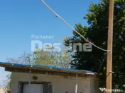 AFACERE LA CHEIE FERMA DE PORCI 