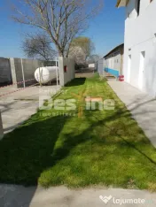 AFACERE LA CHEIE FERMA DE PORCI 