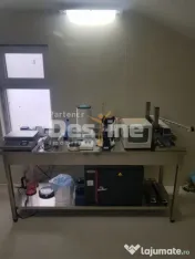 AFACERE LA CHEIE FERMA DE PORCI 