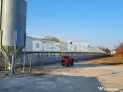 AFACERE LA CHEIE FERMA DE PORCI 