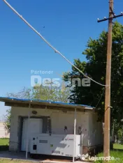 AFACERE LA CHEIE FERMA DE PORCI 