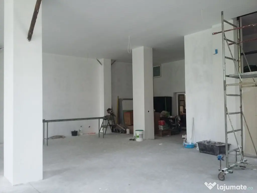 Theodor Pallady 300 mp