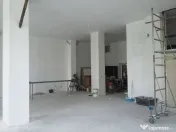 Theodor Pallady 300 mp 