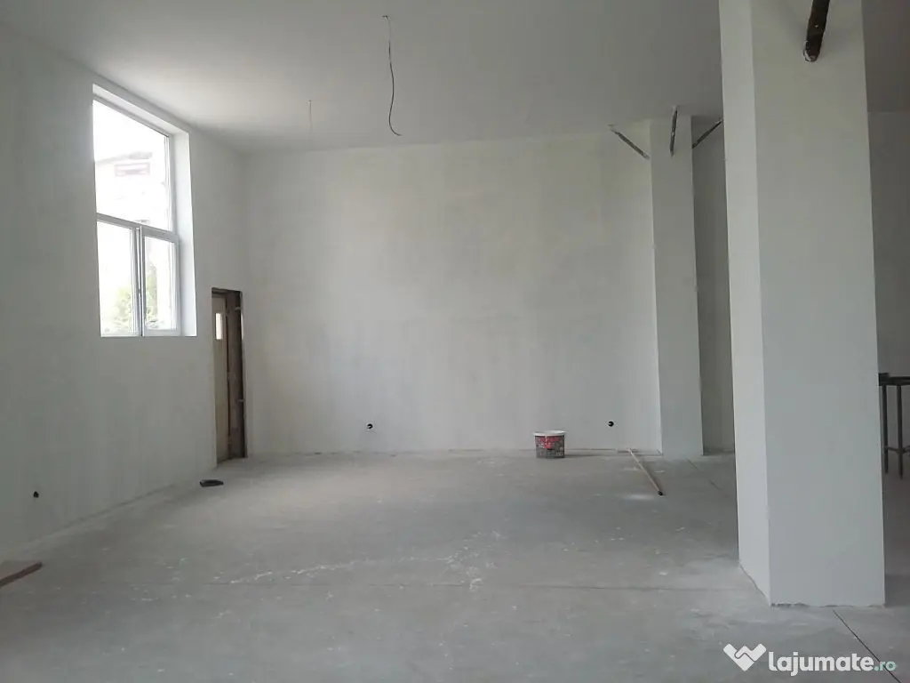 Theodor Pallady 300 mp