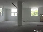 Theodor Pallady 300 mp 