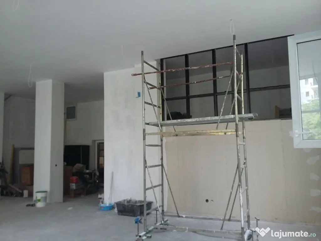 Theodor Pallady 300 mp