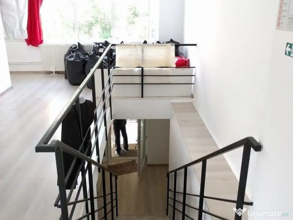 Theodor Pallady 300 mp