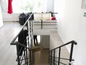 Theodor Pallady 300 mp 