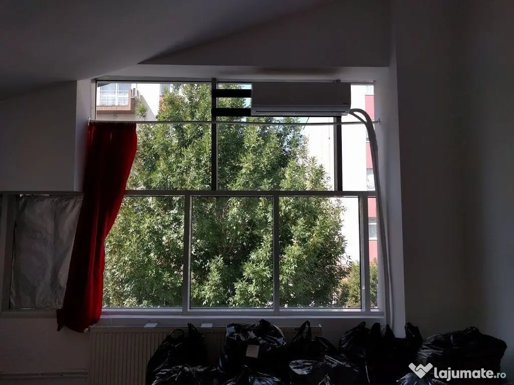 Theodor Pallady 300 mp