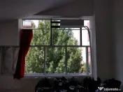 Theodor Pallady 300 mp 