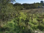 Teren de in Nifon Tulcea 