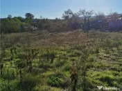 Teren de in Nifon Tulcea 