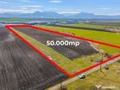 Teren 50.000 mp în Prejmer în spatele parcului industrial 