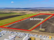 Teren 50.000 mp în Prejmer în spatele parcului industrial