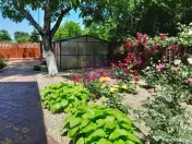 VANZARE CASA 5 CAM P+1 IN SAT MOVILITA (IL) 