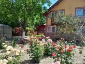 VANZARE CASA 5 CAM P+1 IN SAT MOVILITA (IL) 