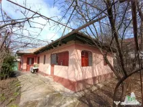 Casa taraneasca traditionala pe parter cu gradina si livada