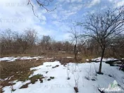 Casa taraneasca traditionala pe parter cu gradina si livada 