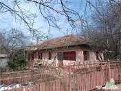 Casa taraneasca traditionala pe parter cu gradina si livada 