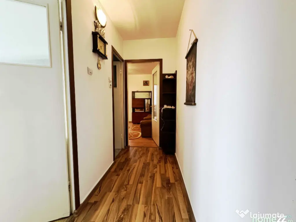 Apartament de 2 camere zona GEMENII,