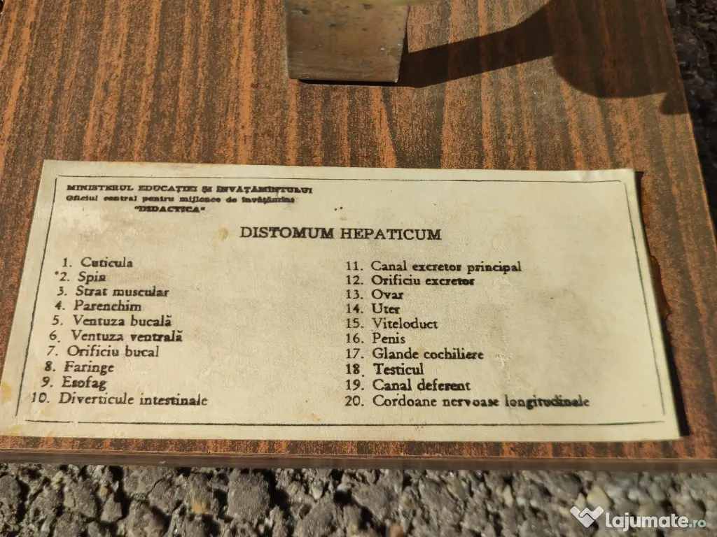 Macheta didactica anii '70