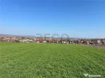 RECO Teren extravilan in Cheriu, Bihor