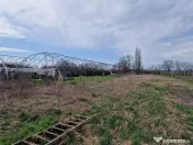 Casa de demolat cu teren mare in Bors 