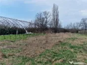 Casa de demolat cu teren mare in Bors 