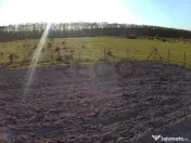 Teren Intravilan de Pausa, Bihor ,14 km de Oradea 