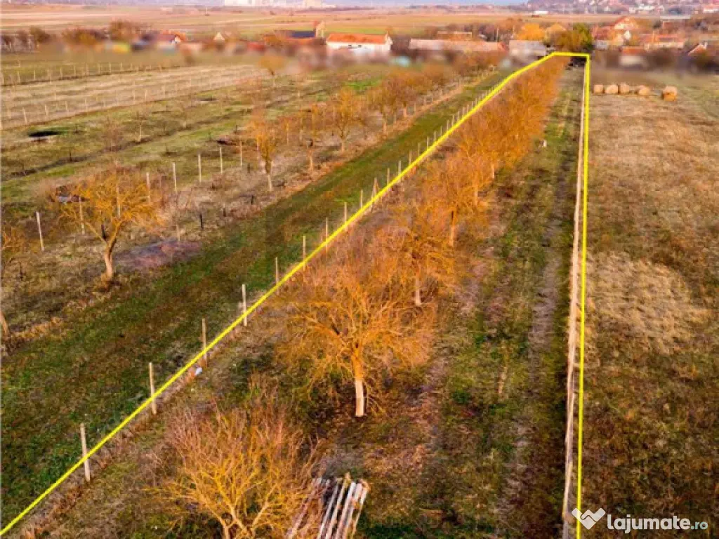 RECO Teren intravilan pentru loc de casa 5342 mp- sat.Hotar