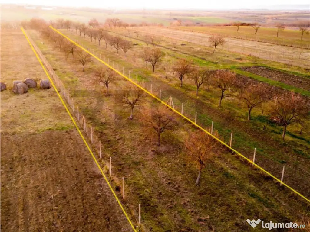 RECO Teren intravilan pentru loc de casa 5342 mp- sat.Hotar