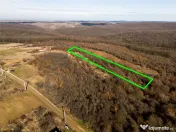 Reco Teren ideal pentru investitii- Saldabagiu de Munte 