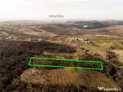 Reco Teren ideal pentru investitii- Saldabagiu de Munte 