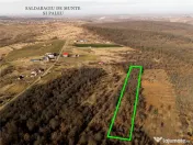 Reco Teren ideal pentru investitii- Saldabagiu de Munte 