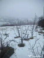 RECO, teren extravilan, Zona Sinteu, Bihor